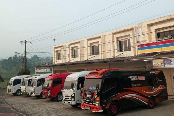 WhatsApp Image 2025-12-19 at 15.38.50